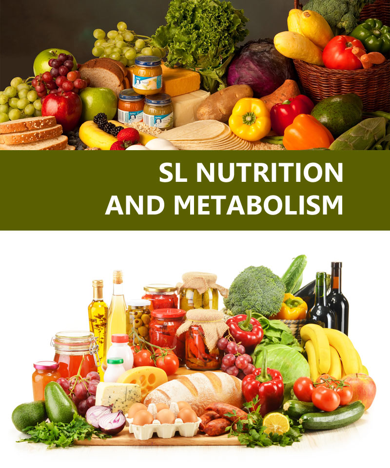 metabolism